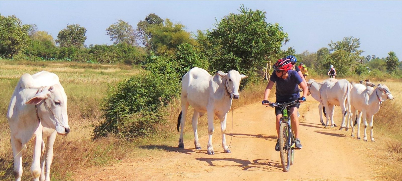 Cambodia Gravel Cycling Holiday
